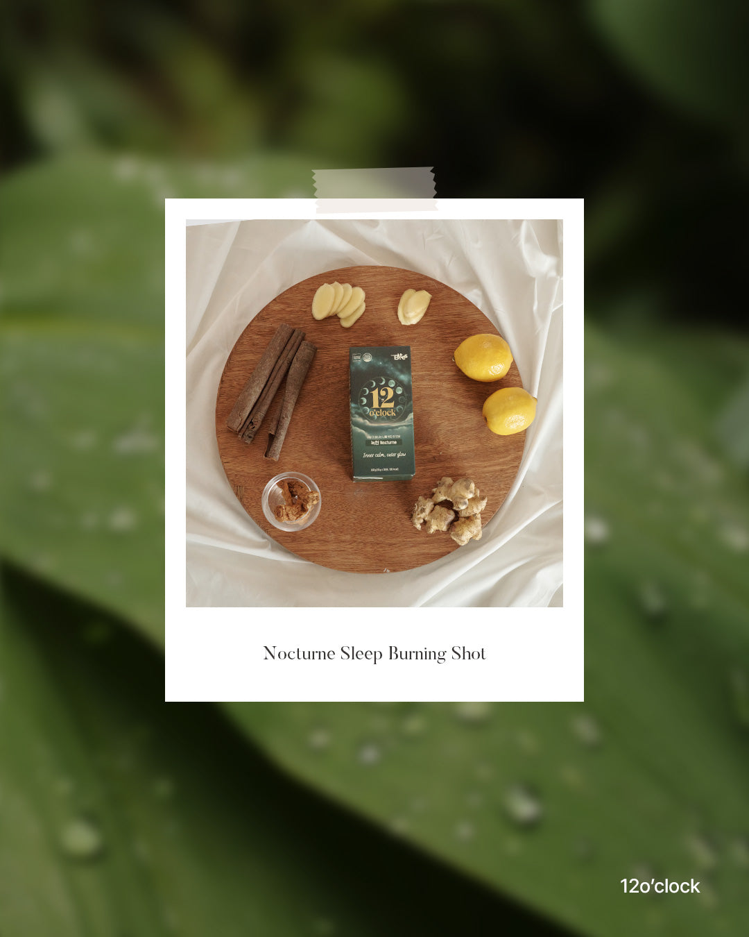 The Timeless Wisdom of Korean Medicine